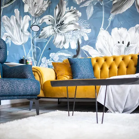 A&k Cozy Art 2 * Varna